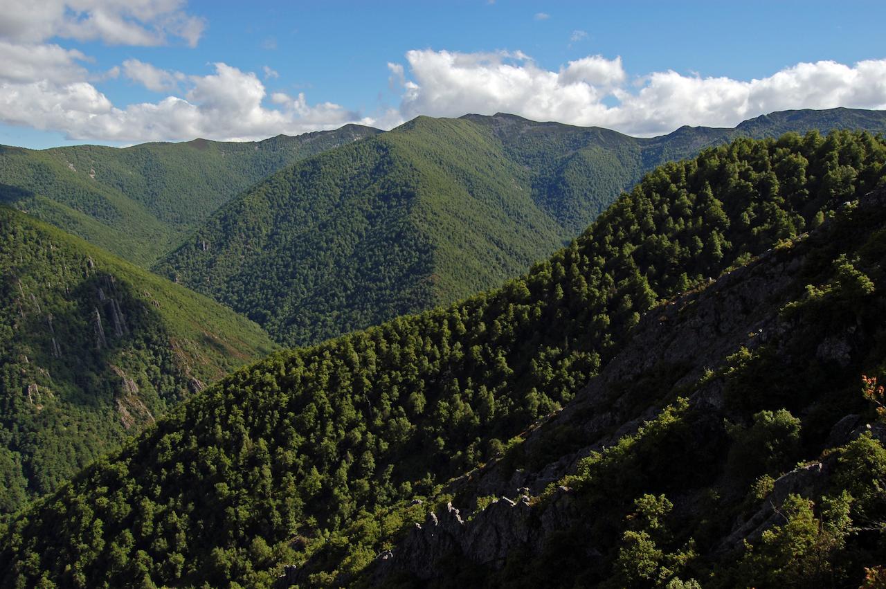 El Mirador De Fuentes Del Narcea Hotell Moncó Eksteriør bilde